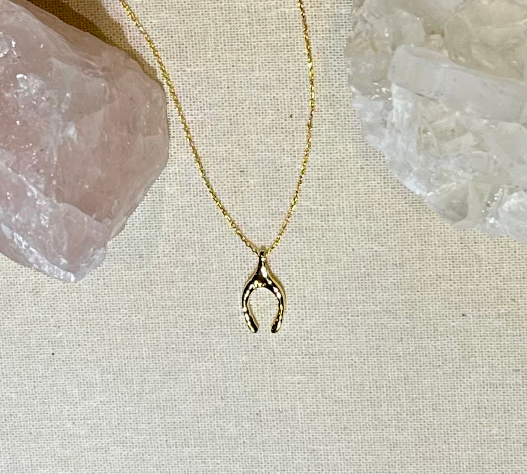 Wishbone Necklace - Shiny